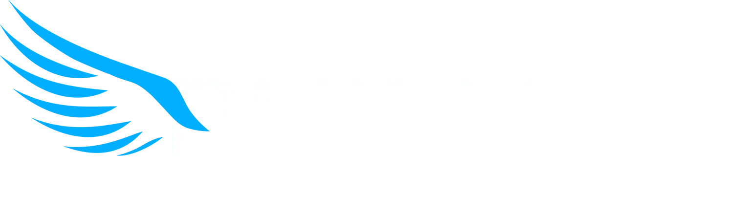Philiart - Brand Strategy & Identity for the Aerospace Sector
